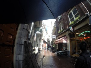 DCIM100GOPRO