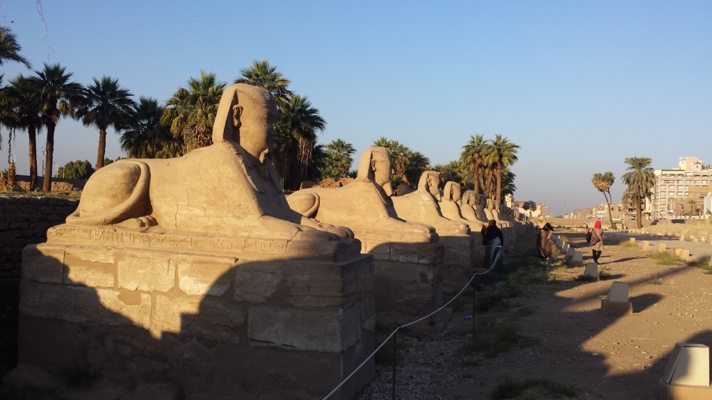 sphinxes Luxor