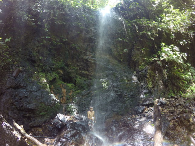 Brownsberg-waterfall