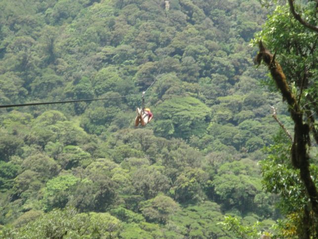 zipline-monteverde