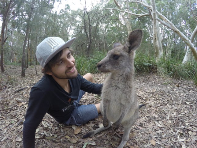 morisset-park