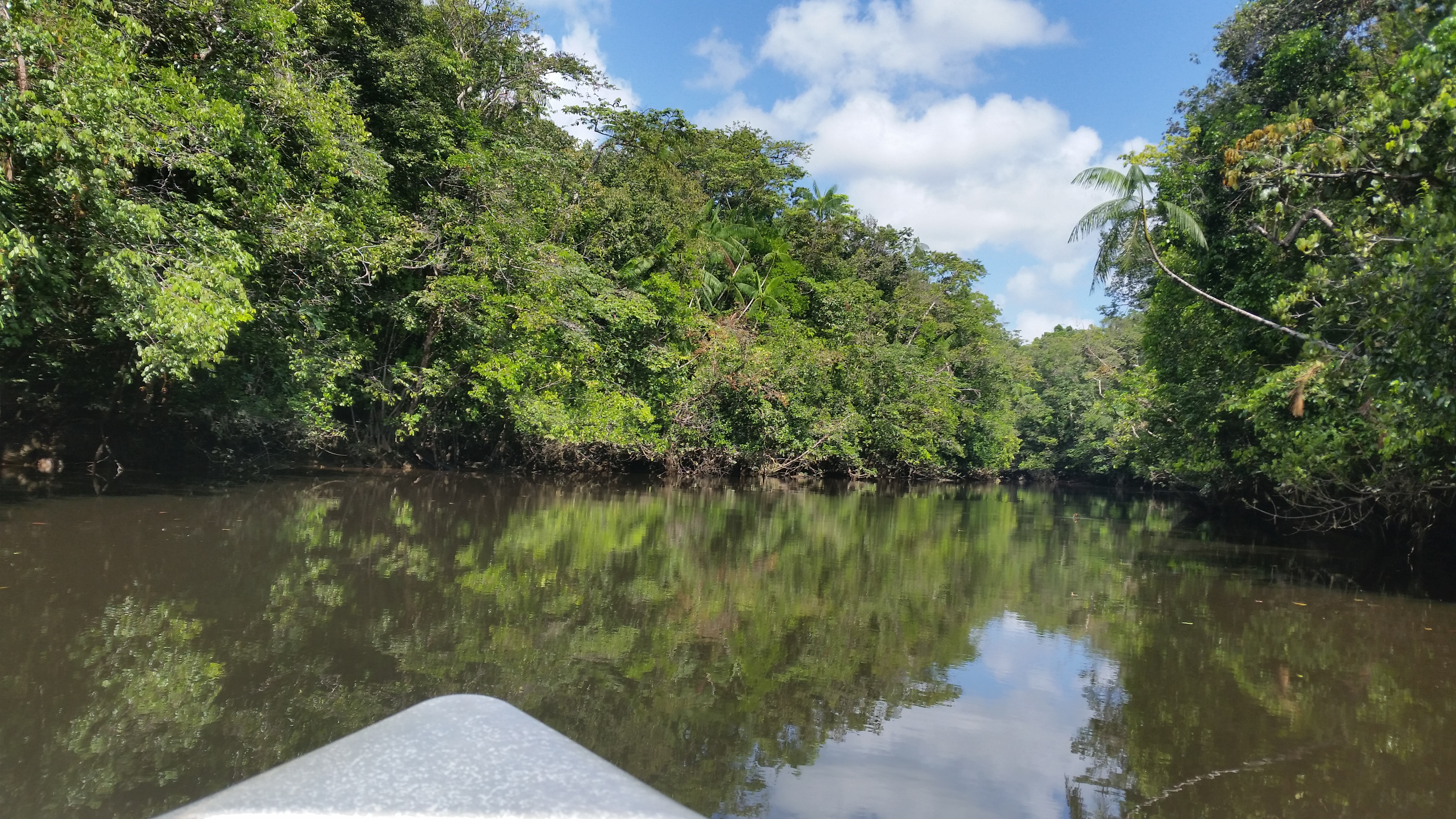 French Guiana One-Week Itinerary